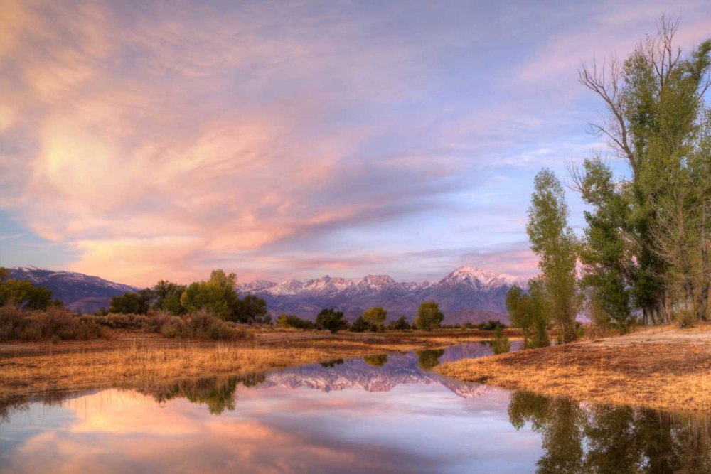 Wall Art Painting id:127938, Name: California, Bishop Sierra Mts from Farmers Pond, Artist: Flaherty, Dennis