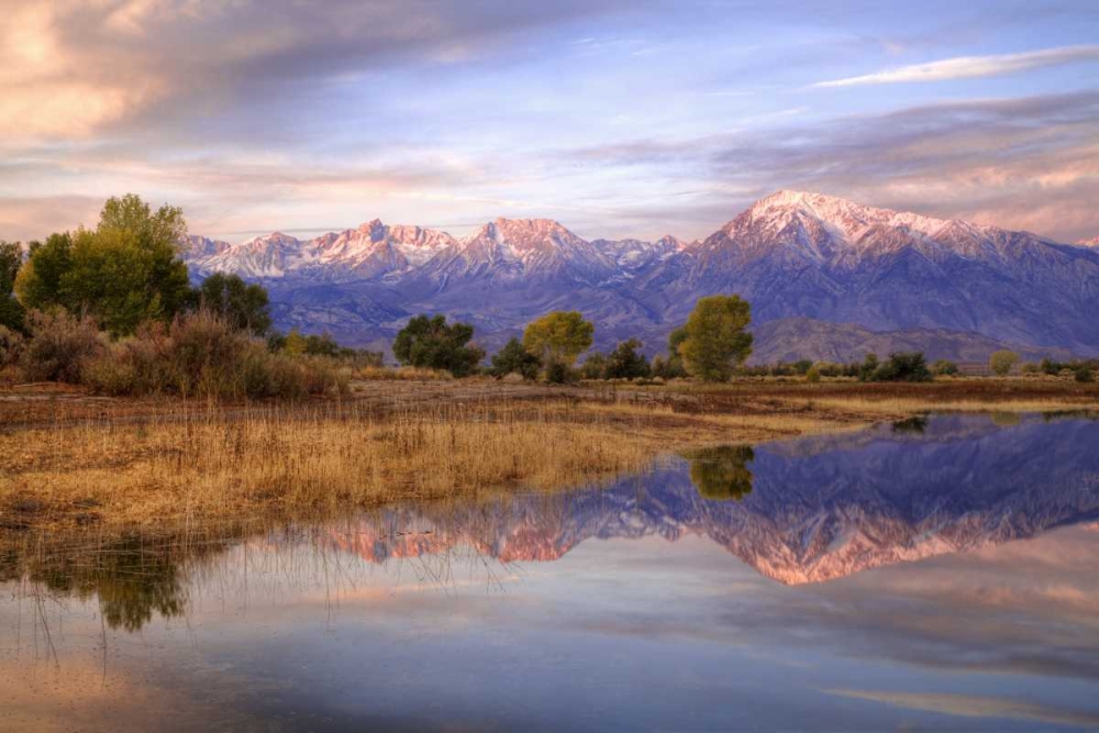 Wall Art Painting id:127939, Name: California, Bishop Sierra Mts from Farmers Pond, Artist: Flaherty, Dennis