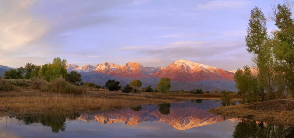 Wall Art Painting id:127940, Name: California, Bishop Sierra Mts from Farmers Pond, Artist: Flaherty, Dennis