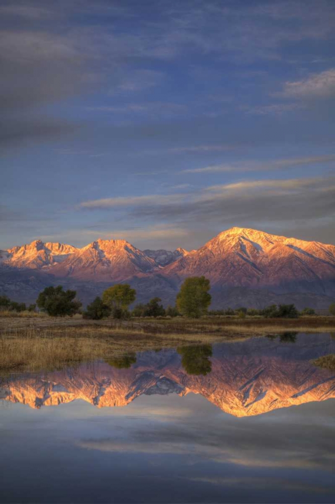 Wall Art Painting id:127942, Name: California, Bishop Sierra Mts from Farmers Pond, Artist: Flaherty, Dennis