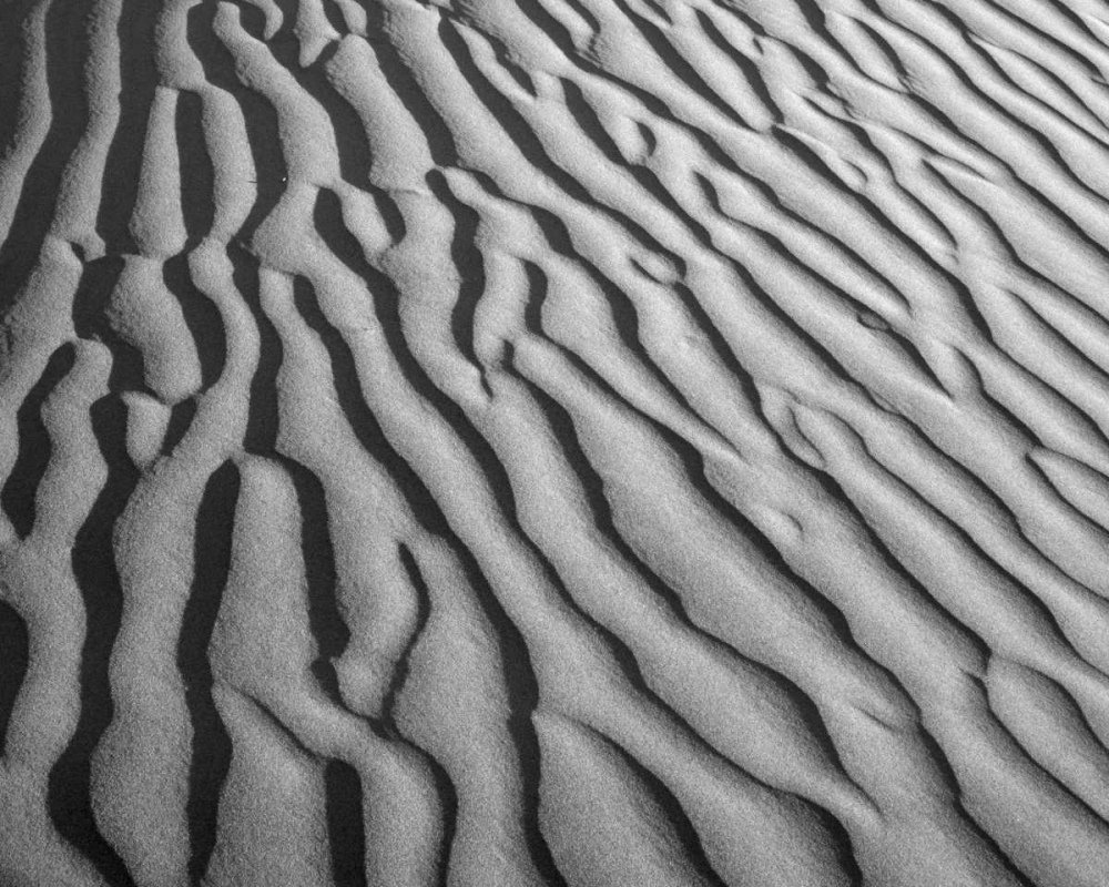 Wall Art Painting id:127807, Name: California, Death Valley NP Sand dune patterns, Artist: Flaherty, Dennis