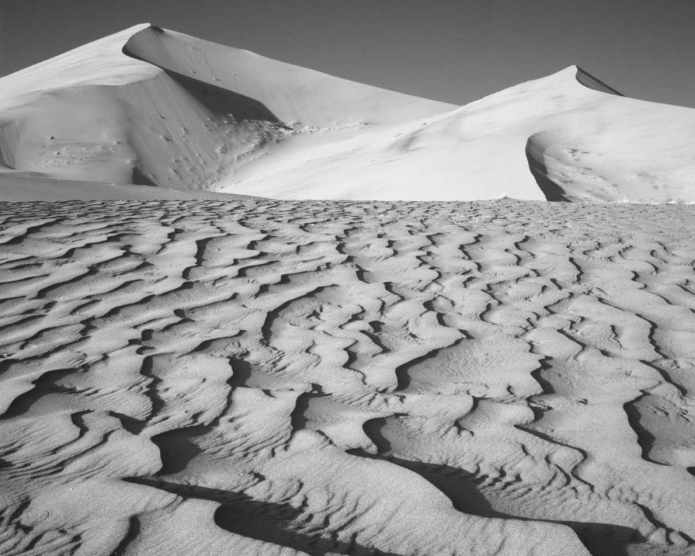 Wall Art Painting id:127413, Name: CA, Death Valley NP Eureka Sand Dunes, Artist: Flaherty, Dennis