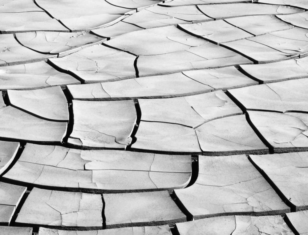 Wall Art Painting id:127815, Name: California, Death Valley Patterns in dried mud, Artist: Flaherty, Dennis