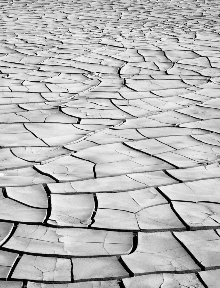 Wall Art Painting id:127816, Name: California, Death Valley Patterns in dried mud, Artist: Flaherty, Dennis