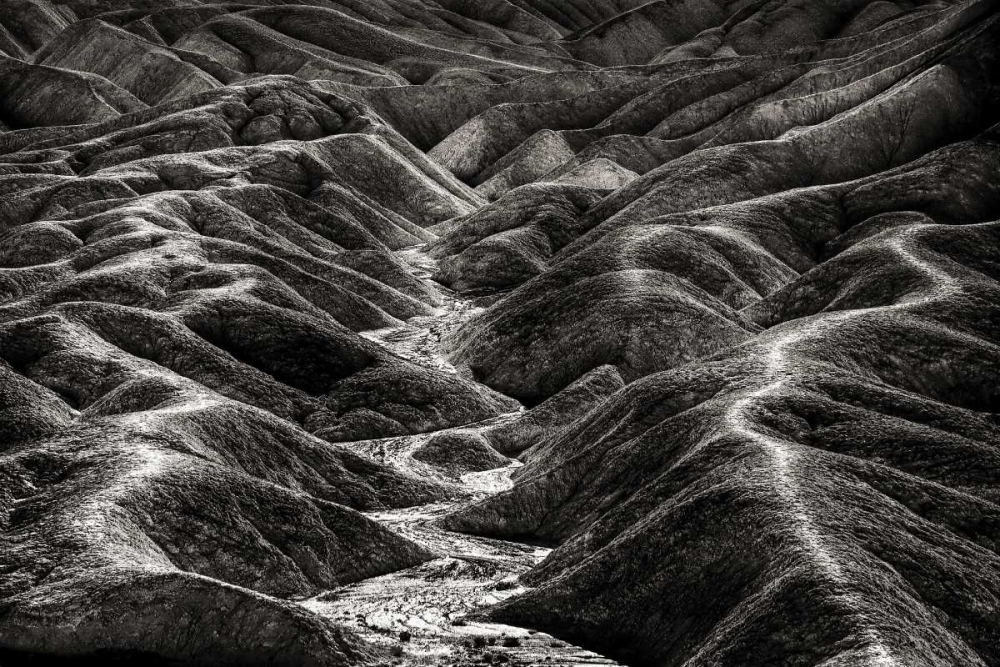 Wall Art Painting id:136488, Name: CA, Death Valley Overview of desolate landscape, Artist: Young, Bill