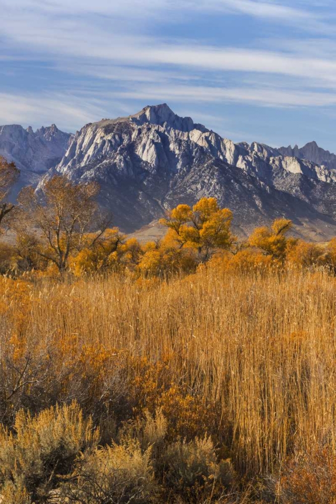 Wall Art Painting id:132471, Name: California Lone Pine Peak from Alabama Hills, Artist: Paulson, Don