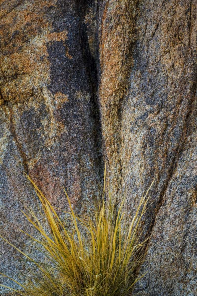 Wall Art Painting id:132686, Name: California, Alabama Hills Rock face and grass, Artist: Paulson, Don