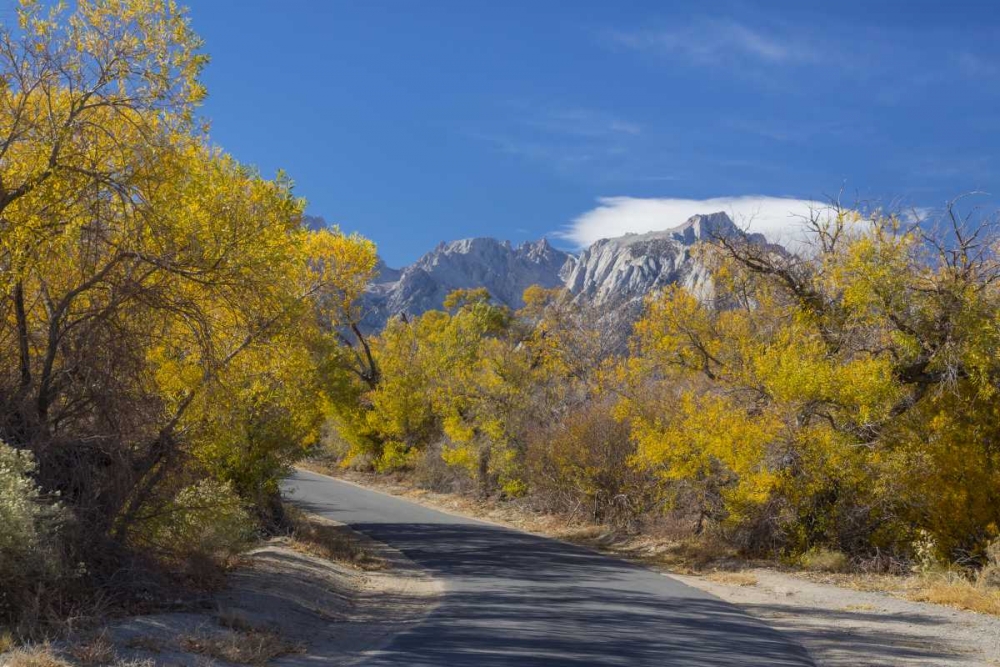 Wall Art Painting id:132269, Name: California, Alabama Hills Tuttle Creek Road, Artist: Paulson, Don