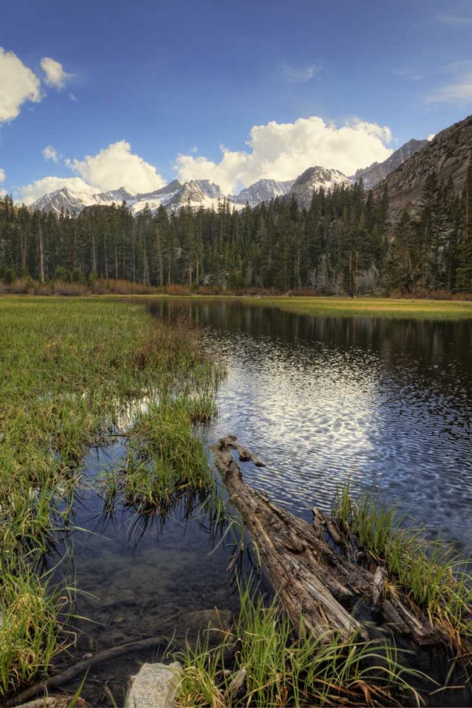 Wall Art Painting id:127721, Name: California, Sierra Nevada Weir Pond landscape, Artist: Flaherty, Dennis