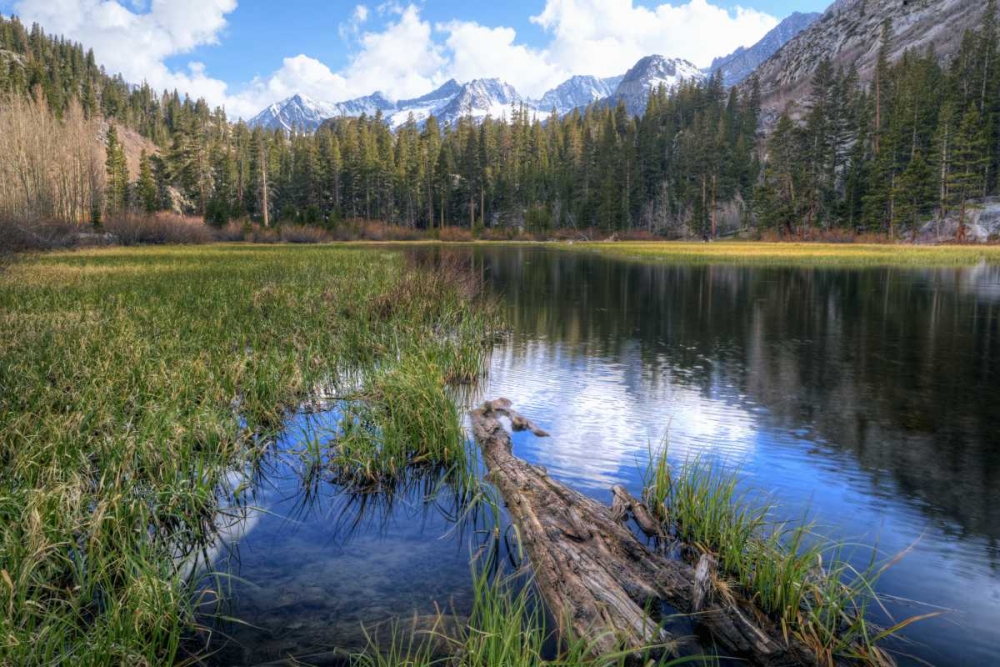 Wall Art Painting id:127722, Name: California, Sierra Nevada Weir Pond landscape, Artist: Flaherty, Dennis