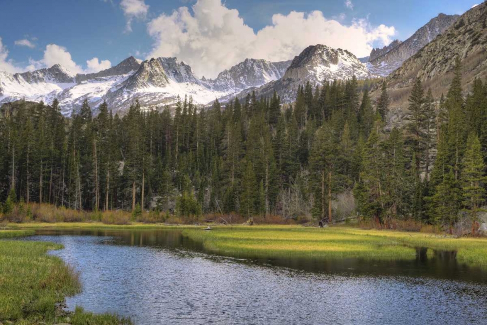 Wall Art Painting id:127723, Name: California, Sierra Nevada Weir Pond landscape, Artist: Flaherty, Dennis