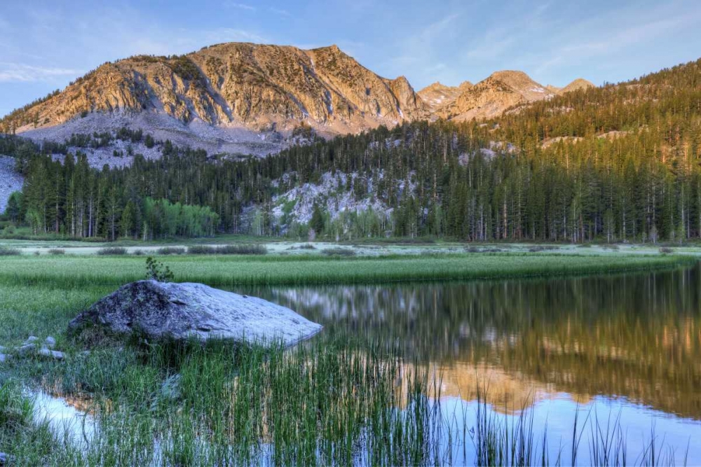 Wall Art Painting id:127932, Name: California, Sierra Nevada Grass Lake reflection, Artist: Flaherty, Dennis