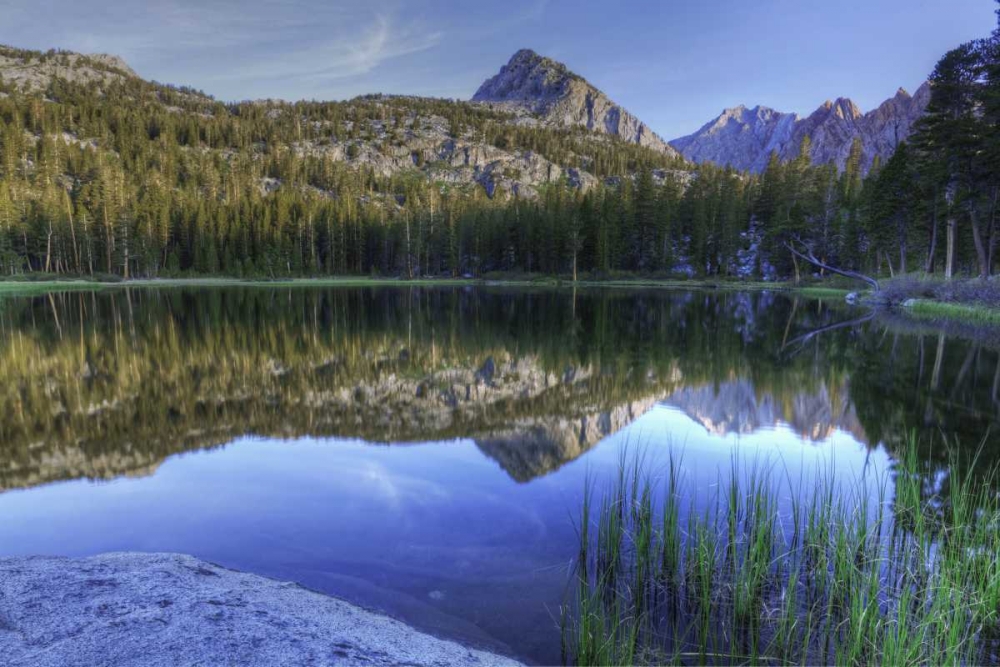 Wall Art Painting id:127933, Name: California, Sierra Nevada Grass Lake reflection, Artist: Flaherty, Dennis