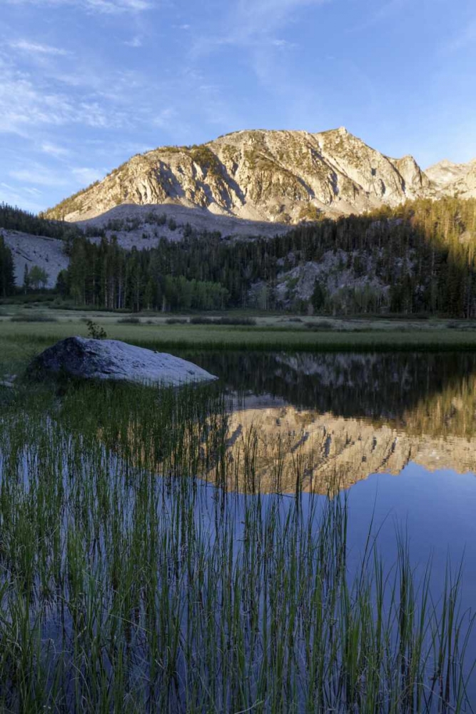 Wall Art Painting id:127934, Name: California, Sierra Nevada Grass Lake reflection, Artist: Flaherty, Dennis