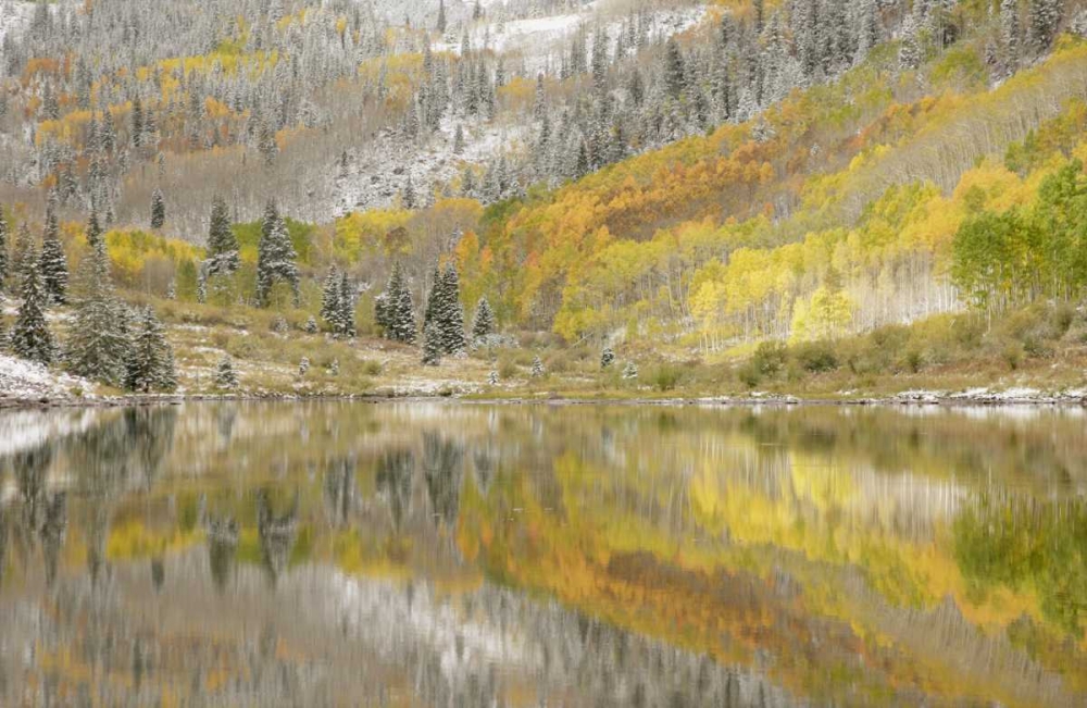 Wall Art Painting id:128188, Name: CO, Maroon Lake, Fresh snow and aspen trees, Artist: Grall, Don