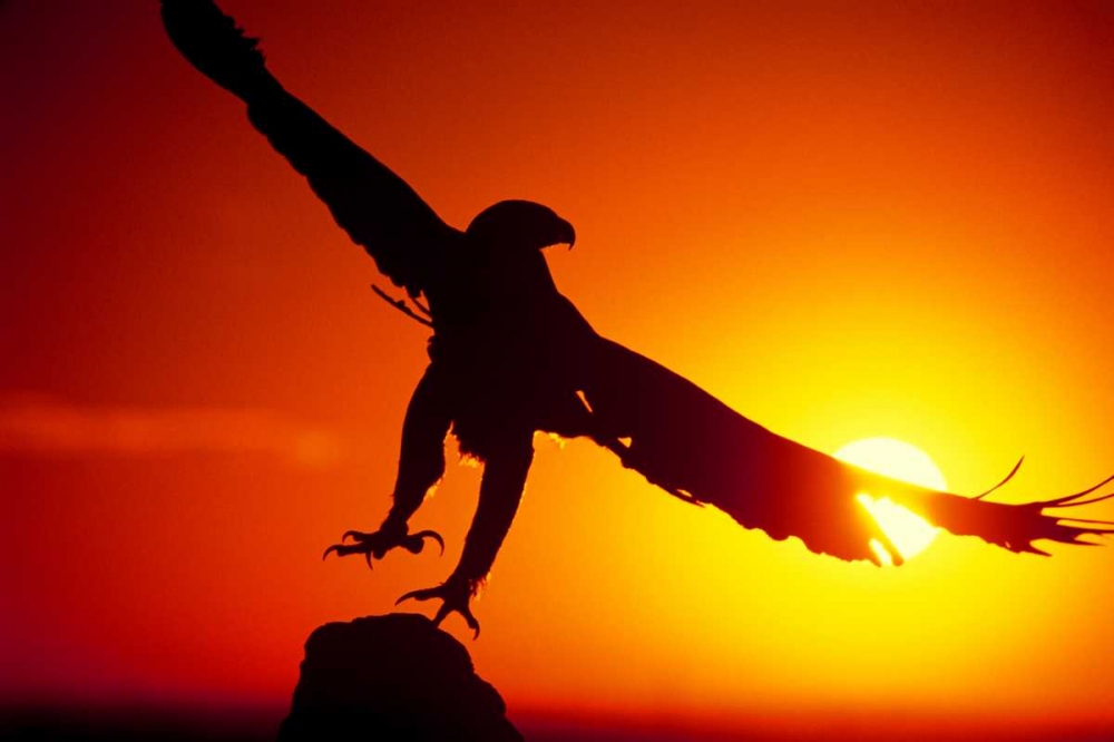 Similar wall art painting: 135797