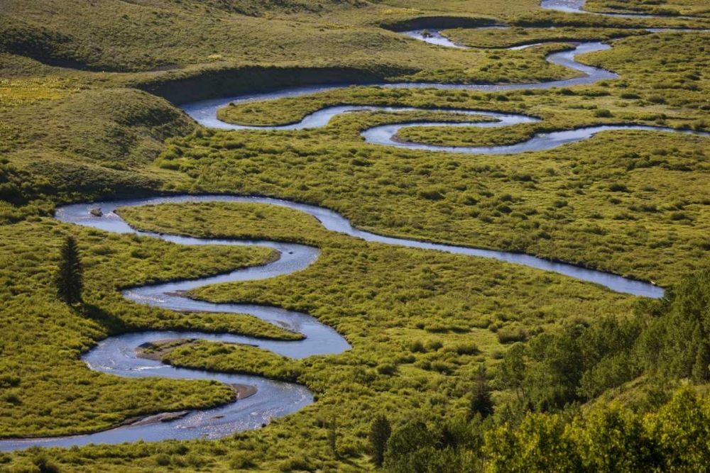 Wall Art Painting id:128243, Name: CO, Gunnison NF Uper East Rivers meandering, Artist: Grall, Don