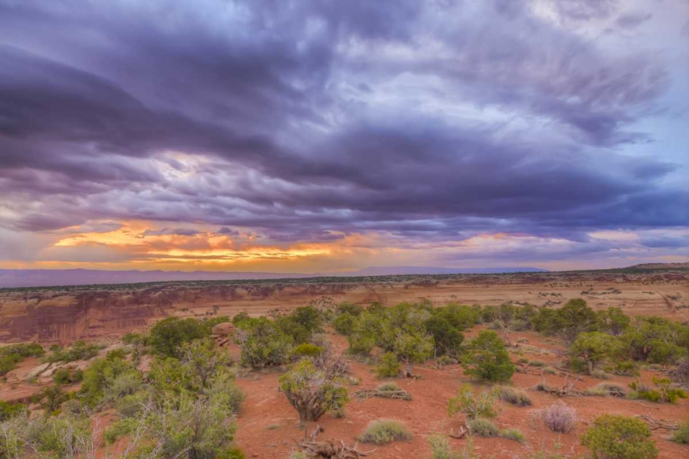 Wall Art Painting id:130863, Name: Colorado, Fruita Sunrise over Colorado NM, Artist: Lord, Fred