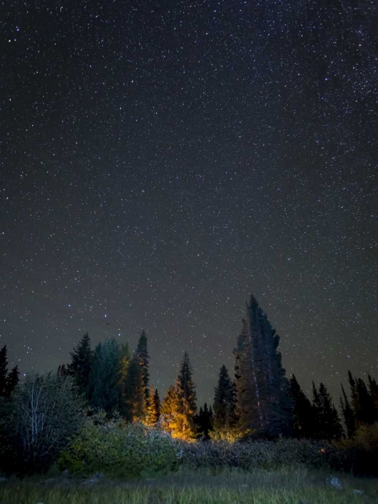 Wall Art Painting id:132254, Name: USA, Colorado Night sky at Lost Lake Slough, Artist: Paulson, Don