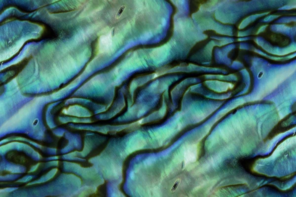 Similar wall art painting: 127046