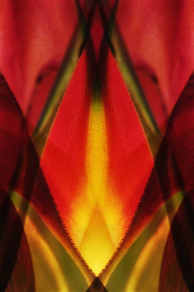 Wall Art Painting id:127075, Name: USA, Colorado, Lafayette Heliconia plant montage, Artist: Bush, Marie