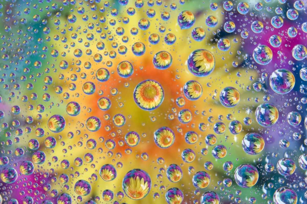 Wall Art Painting id:127011, Name: Colorado, Lafayette Abstract Water bubbles, Artist: Bush, Marie