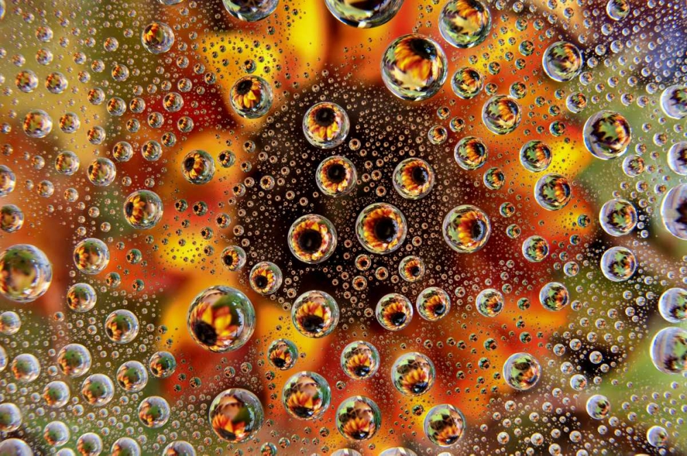 Wall Art Painting id:127056, Name: CO, Lafayette Water bubbles on glass table top, Artist: Bush, Marie