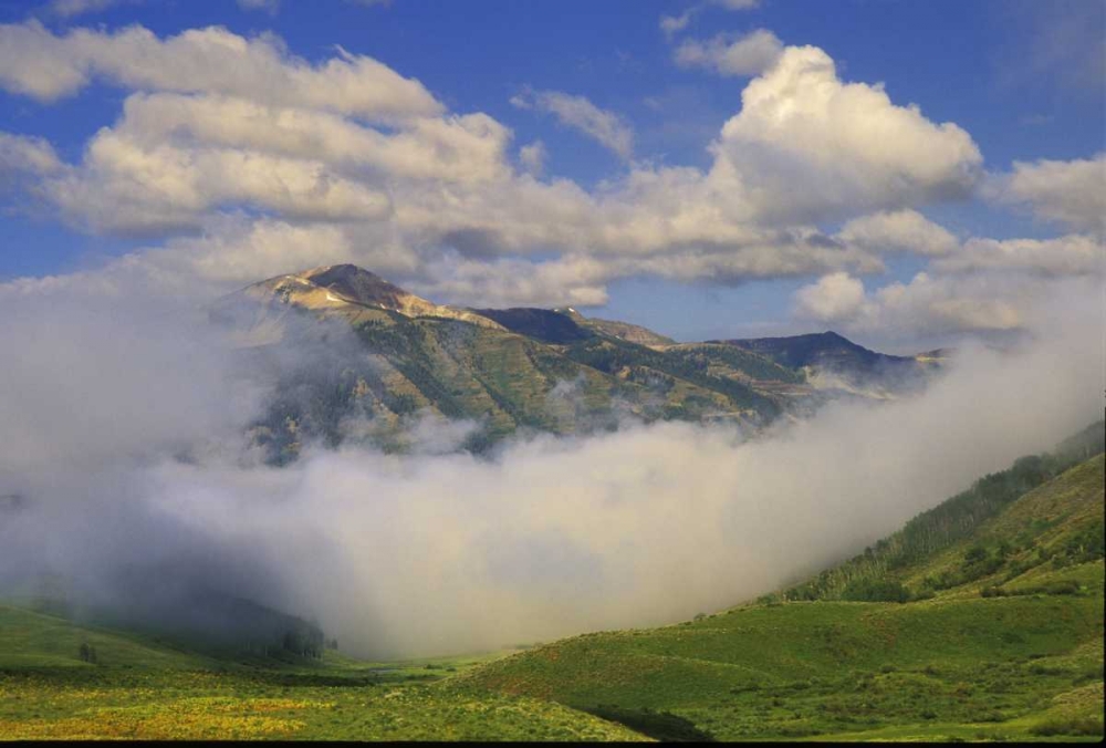 Wall Art Painting id:133701, Name: Colorado, Fog and mountain landscape, Artist: Rotenberg, Nancy