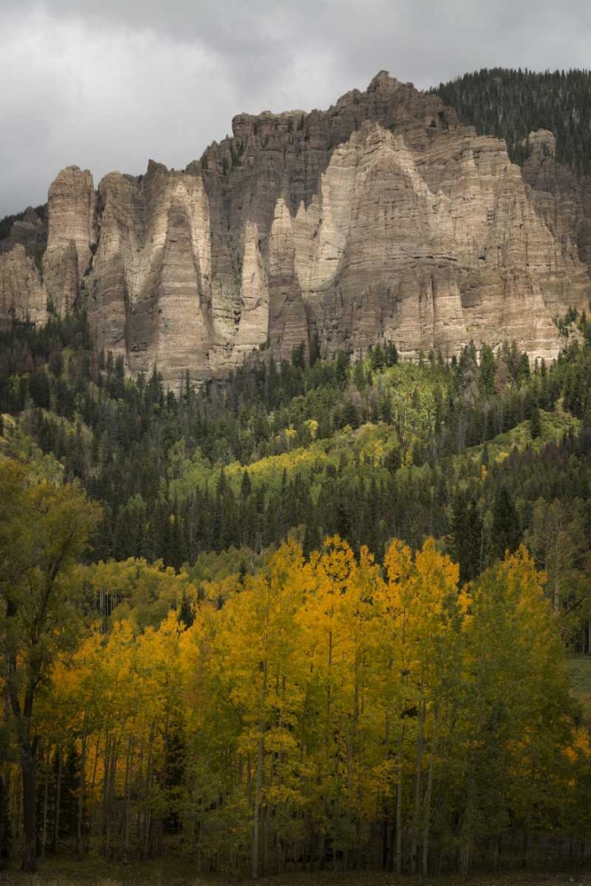 Wall Art Painting id:128199, Name: Colorado Storm clouds over the San Juan Mts, Artist: Grall, Don