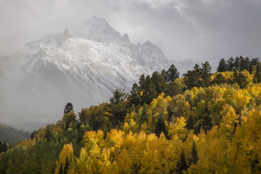 Wall Art Painting id:128324, Name: Colorado, Sneffels Range Mt Sneffels at sunset, Artist: Grall, Don