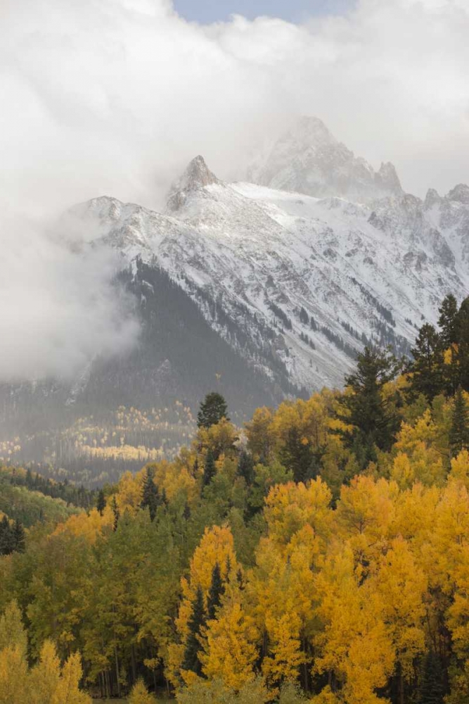 Wall Art Painting id:128325, Name: Colorado, Sneffels Range Mt Sneffels at sunset, Artist: Grall, Don