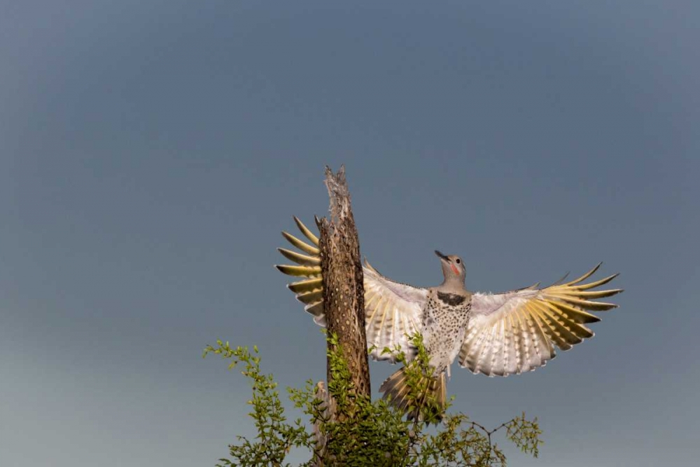 Similar wall art painting: 130286