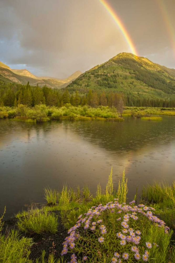 Wall Art Painting id:129823, Name: CO, Gunnison NF Rainbows over Slate River Valley, Artist: Illg, Cathy and Gordon