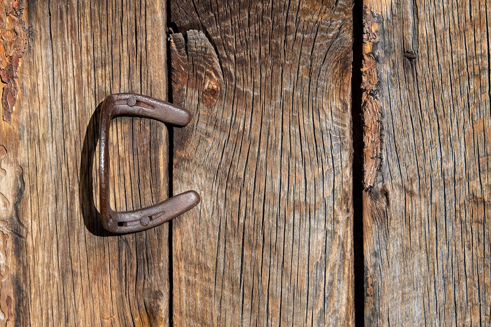 Wall Art Painting id:513672, Name: USA-Colorado-Westcliffe Old wooden barn wall with bent horseshoe handle, Artist: Hopkins, Cindy Miller