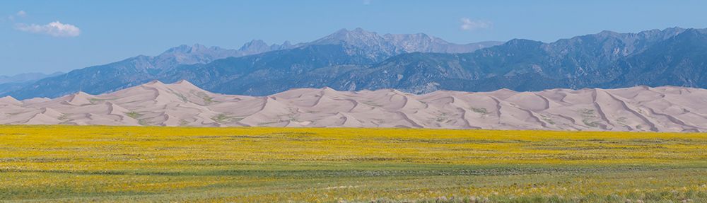 Wall Art Painting id:513676, Name: USA-Colorado-San Luis Valley-Great Sand Dunes National Park, Artist: Hopkins, Cindy Miller