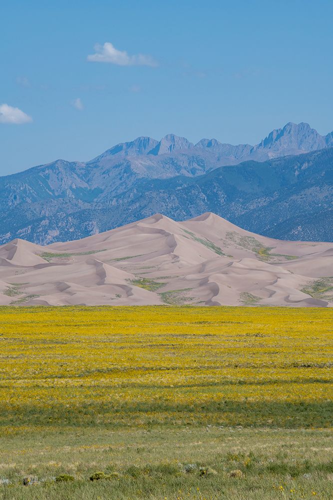 Wall Art Painting id:513677, Name: USA-Colorado-San Luis Valley-Great Sand Dunes National Park, Artist: Hopkins, Cindy Miller