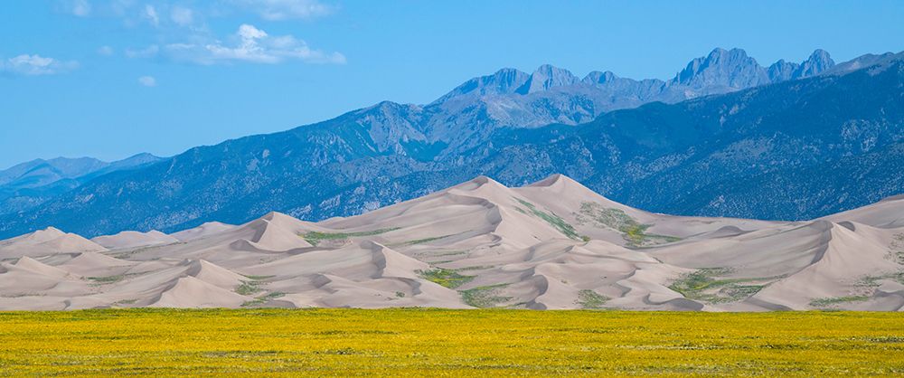 Wall Art Painting id:513678, Name: USA-Colorado-San Luis Valley-Great Sand Dunes National Park, Artist: Hopkins, Cindy Miller