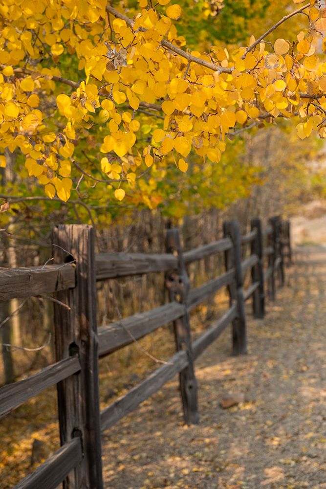 Similar wall art painting: 513680