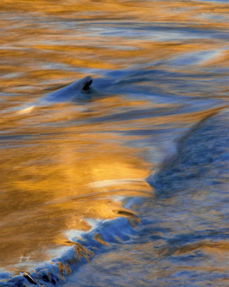 Similar wall art painting: 131633