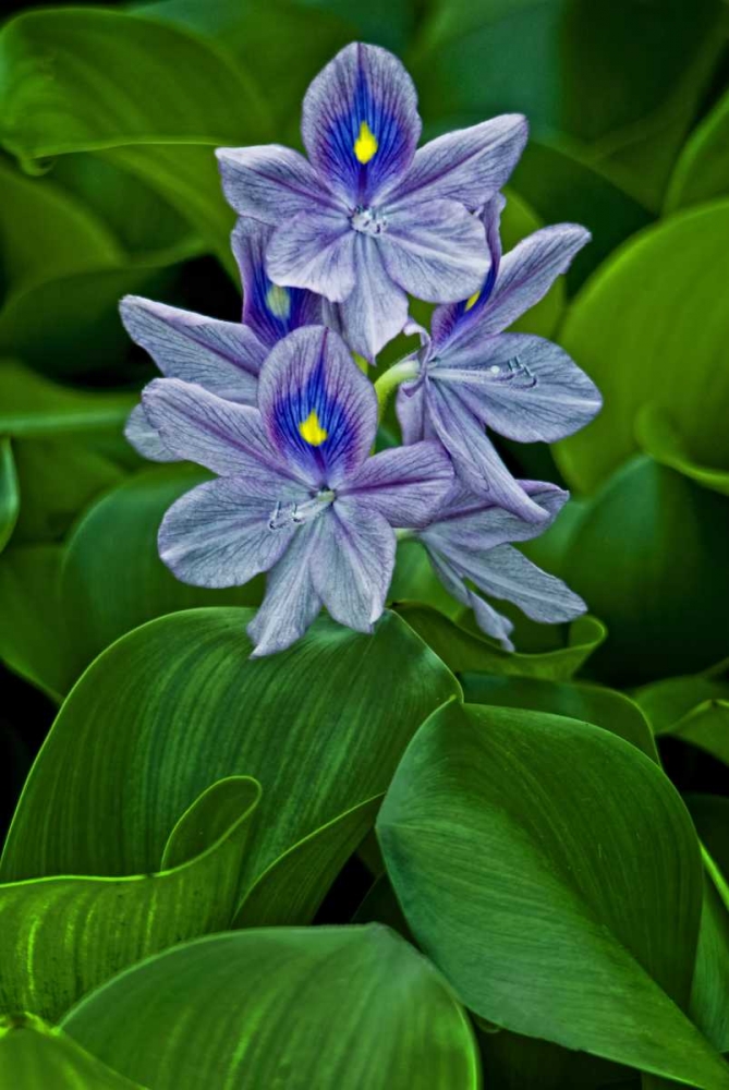 Similar wall art painting: 131360