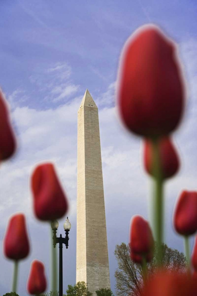 Wall Art Painting id:127470, Name: Washington DC, The Washington Monument, Artist: Flaherty, Dennis