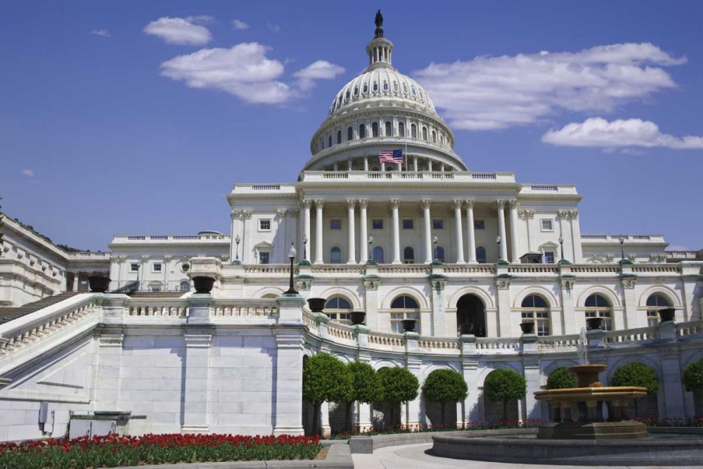 Wall Art Painting id:127636, Name: Washington, DC View of the Capitol building, Artist: Flaherty, Dennis