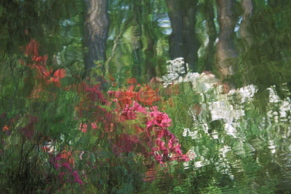 Wall Art Painting id:133729, Name: USA, Georgia, Azalea reflection in pond, Artist: Rotenberg, Nancy