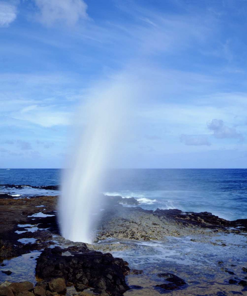 Wall Art Painting id:134785, Name: Hawaii, Kauai A blowhole spouts seawater, Artist: Talbot Frank, Christopher