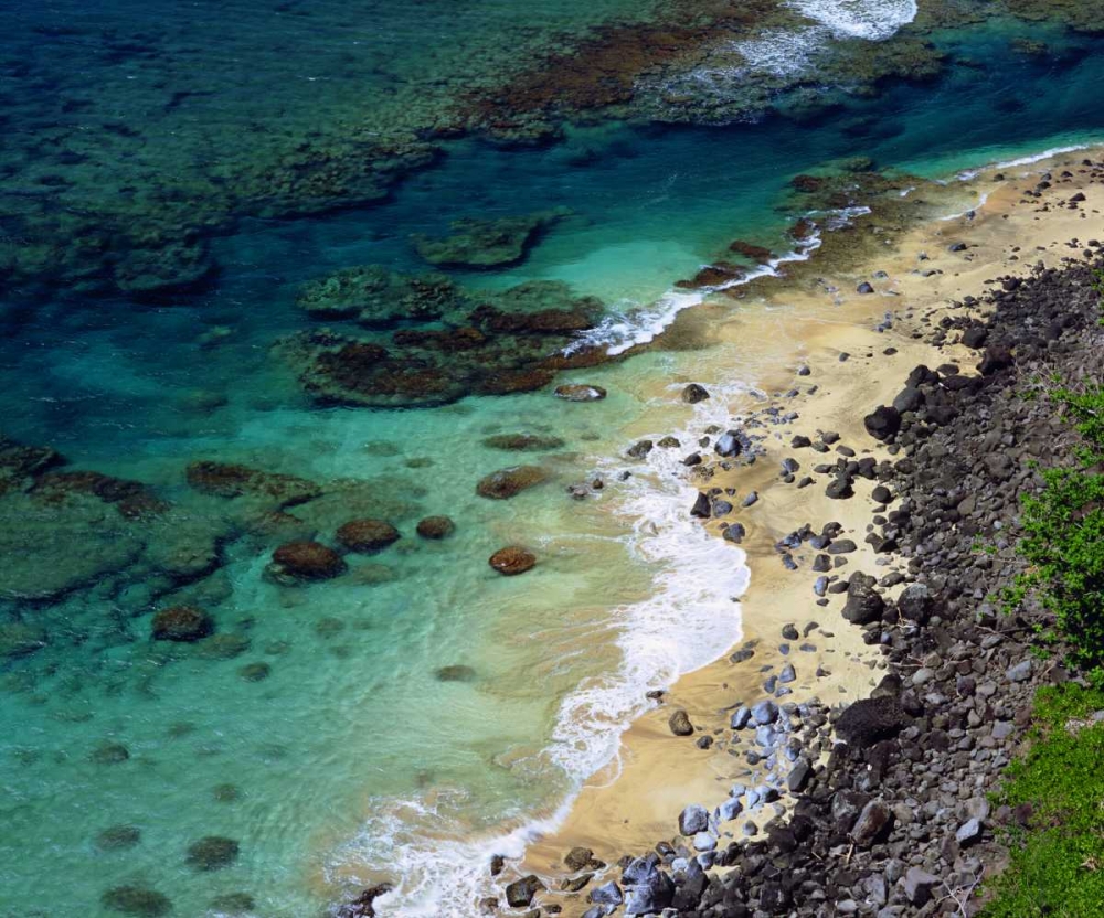 Wall Art Painting id:135212, Name: Hawaii, Kauai A coral reef on the Na Pali coast, Artist: Talbot Frank, Christopher