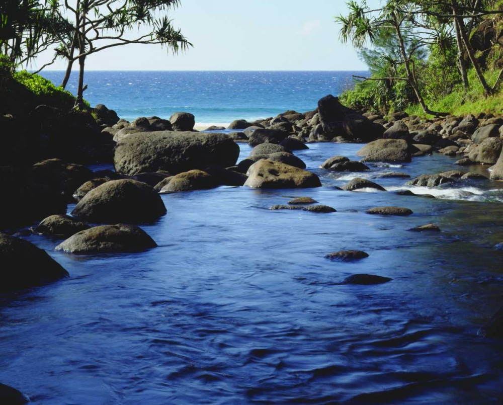 Wall Art Painting id:134727, Name: HI, Kauai Stream on the Na Pali coast, Artist: Talbot Frank, Christopher