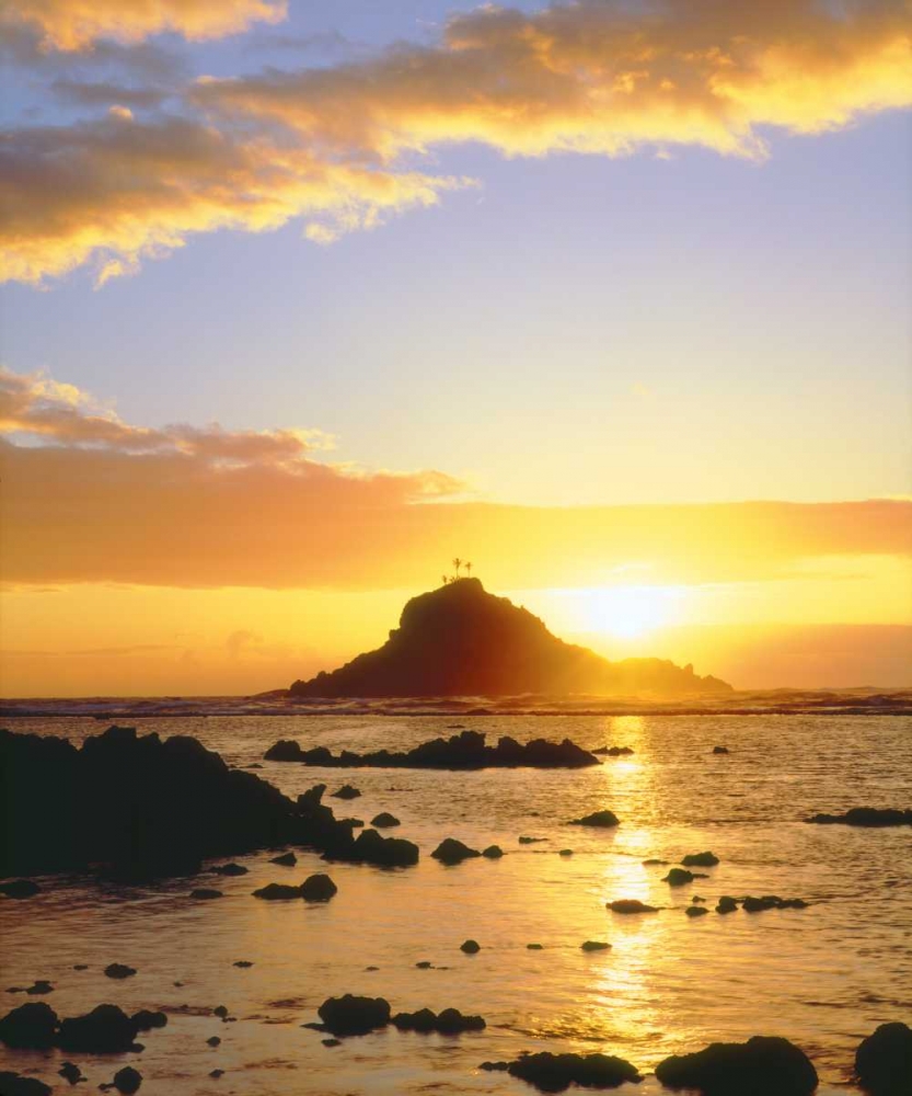 Wall Art Painting id:135321, Name: Hawaii, Maui Sunrise over Three Palm Tree Island, Artist: Talbot Frank, Christopher