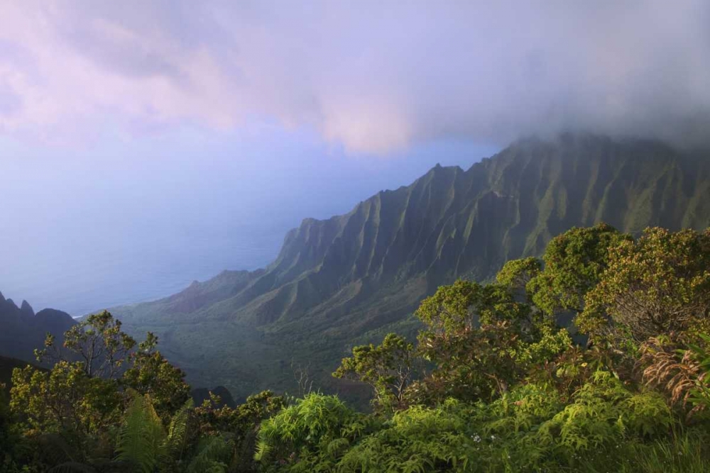 Wall Art Painting id:127917, Name: Hawaii, Kauai Kalalau Overlook of Na Pali Coast, Artist: Flaherty, Dennis