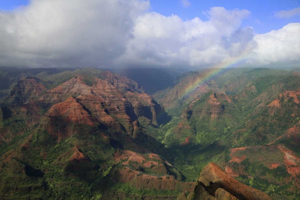 Wall Art Painting id:127491, Name: Hawaii, Kauai Rainbow over Waimea Canyon, Artist: Flaherty, Dennis