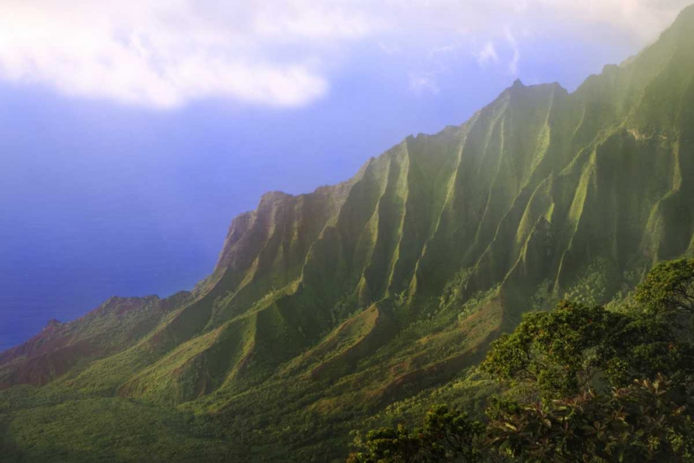 Wall Art Painting id:127500, Name: HI, Kauai Landscape of the Na Pali Coast, Artist: Flaherty, Dennis